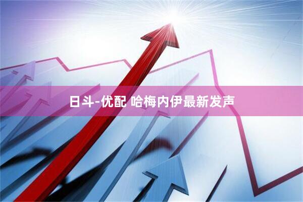 日斗-优配 哈梅内伊最新发声