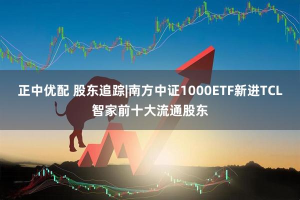 正中优配 股东追踪|南方中证1000ETF新进TCL智家前十大流通股东