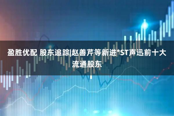 盈胜优配 股东追踪|赵善芹等新进*ST声迅前十大流通股东