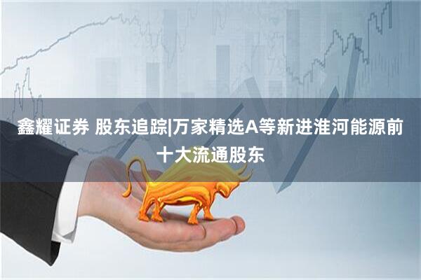 鑫耀证券 股东追踪|万家精选A等新进淮河能源前十大流通股东
