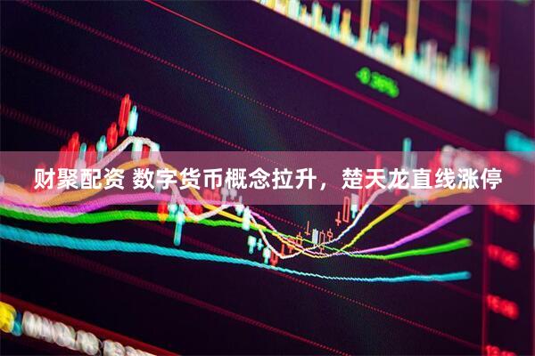 财聚配资 数字货币概念拉升，楚天龙直线涨停