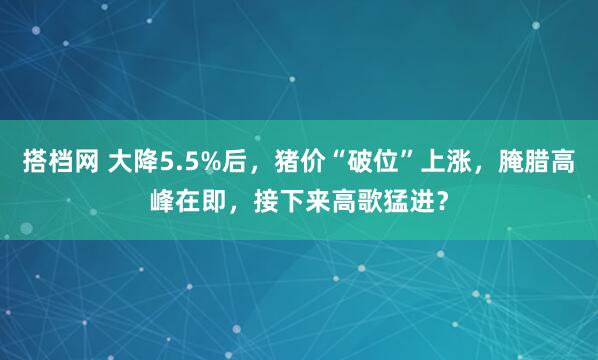搭档网 大降5.5%后，猪价“破位”上涨，腌腊高峰在即，接下来高歌猛进？