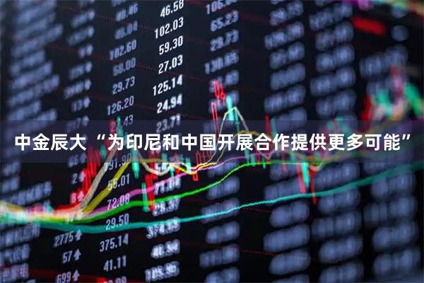 中金辰大 “为印尼和中国开展合作提供更多可能”