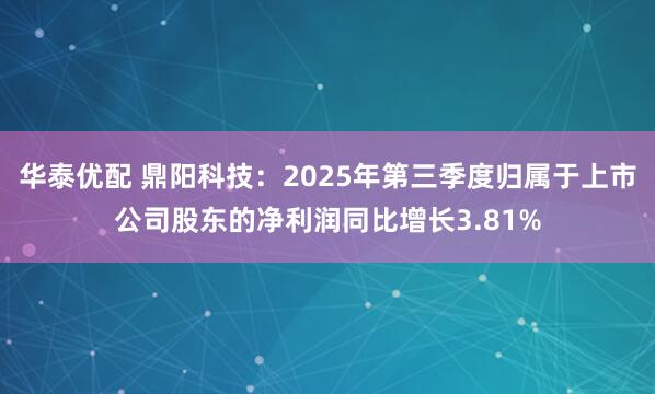 华泰优配 鼎阳科技：2025年第三季度归属于上市公司股东的净利润同比增长3.81%