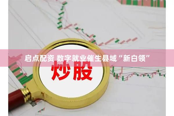 启点配资 数字就业催生县域“新白领”