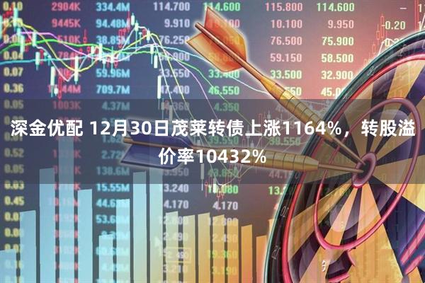 深金优配 12月30日茂莱转债上涨1164%，转股溢价率10432%