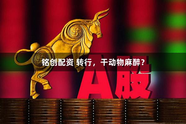 铭创配资 转行，干动物麻醉？