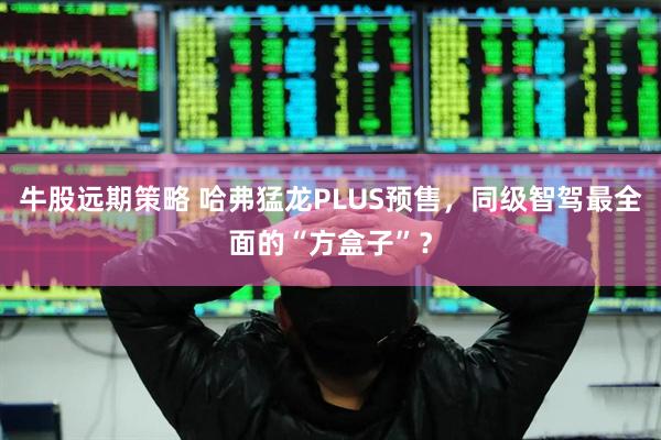 牛股远期策略 哈弗猛龙PLUS预售，同级智驾最全面的“方盒子”？